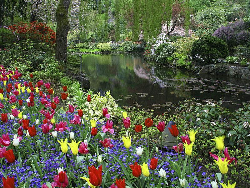 Butchart-Gardens-Victoria-BC.jpg