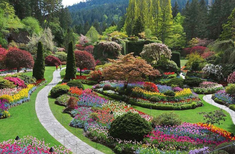 butchart-gardens.jpg