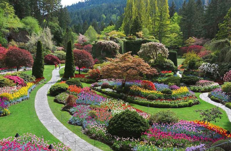 Butchart Gardens Travel Package